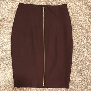 Zara Basic Skirt